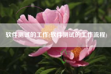 软件测试的工作(软件测试的工作流程)