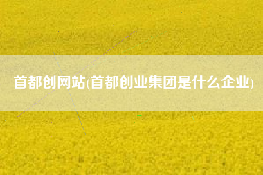 首都创网站(首都创业集团是什么企业)