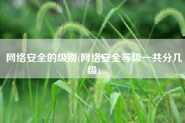 网络安全的级别(网络安全等级一共分几级)