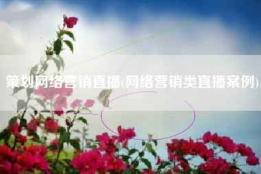 策划网络营销直播(网络营销类直播案例)