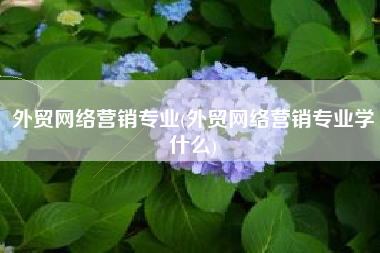外贸网络营销专业(外贸网络营销专业学什么)