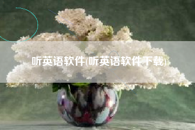听英语软件(听英语软件下载)