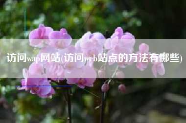访问wap网站(访问web站点的方法有哪些)