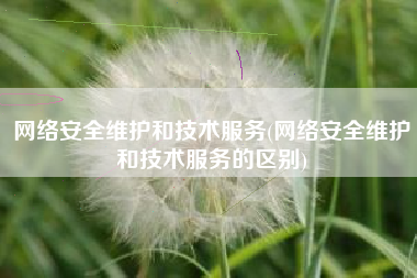 网络安全维护和技术服务(网络安全维护和技术服务的区别)