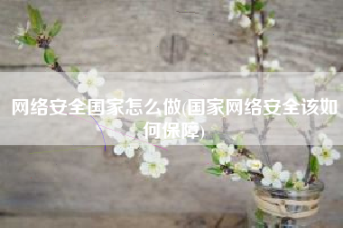 网络安全国家怎么做(国家网络安全该如何保障)