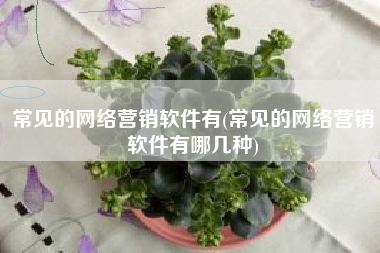 常见的网络营销软件有(常见的网络营销软件有哪几种)