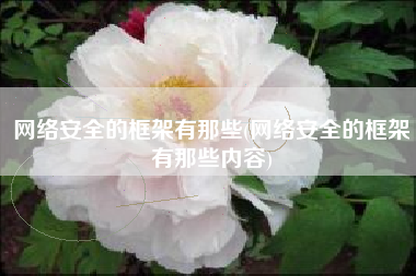 网络安全的框架有那些(网络安全的框架有那些内容)