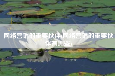 网络营销的重要伙伴(网络营销的重要伙伴有哪些)