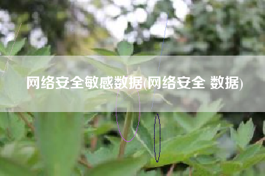 网络安全敏感数据(网络安全 数据)