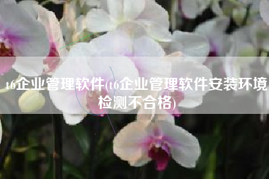 t6企业管理软件(t6企业管理软件安装环境检测不合格)