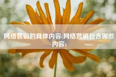 网络营销的具体内容(网络营销包含哪些内容)
