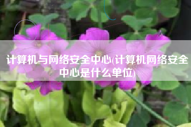 计算机与网络安全中心(计算机网络安全中心是什么单位)