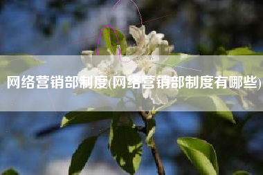 网络营销部制度(网络营销部制度有哪些)