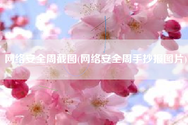 网络安全周截图(网络安全周手抄报图片)
