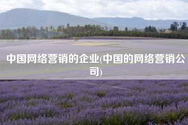 中国网络营销的企业(中国的网络营销公司)