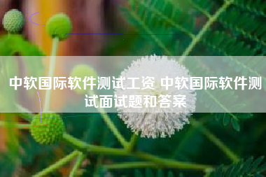 中软国际软件测试工资 中软国际软件测试面试题和答案