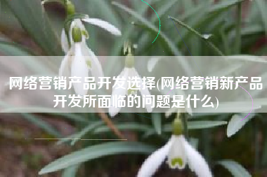 网络营销产品开发选择(网络营销新产品开发所面临的问题是什么)