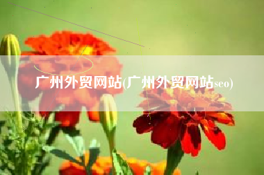 广州外贸网站(广州外贸网站seo)