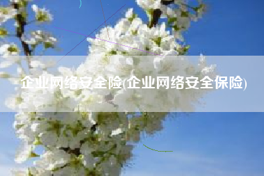 企业网络安全险(企业网络安全保险)
