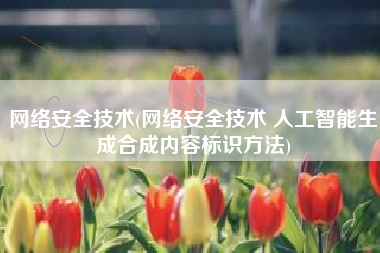 网络安全技术(网络安全技术 人工智能生成合成内容标识方法)