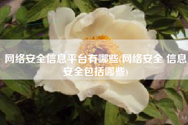 网络安全信息平台有哪些(网络安全 信息安全包括哪些)