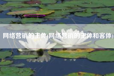 网络营销的主体(网络营销的主体和客体)
