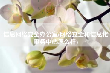 信息网络安全办公室(网络安全和信息化事务中心怎么样)