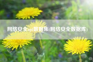 网络安全apt数据集(网络安全数据库)
