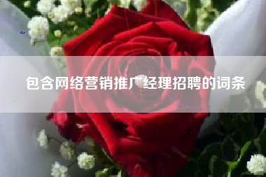 包含网络营销推广经理招聘的词条