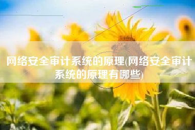 网络安全审计系统的原理(网络安全审计系统的原理有哪些)