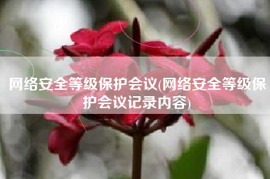 网络安全等级保护会议(网络安全等级保护会议记录内容)