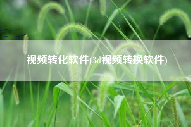 视频转化软件(3d视频转换软件)