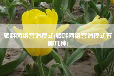旅游网络营销模式(旅游网络营销模式有哪几种)