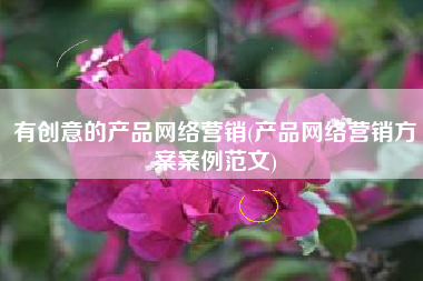 有创意的产品网络营销(产品网络营销方案案例范文)