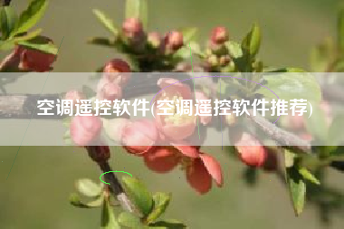 空调遥控软件(空调遥控软件推荐)