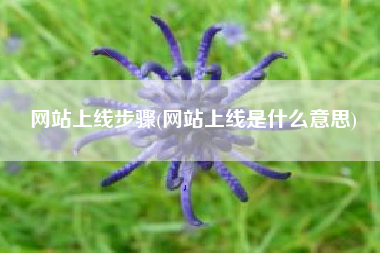 网站上线步骤(网站上线是什么意思)