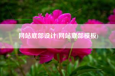 网站底部设计(网站底部模板)