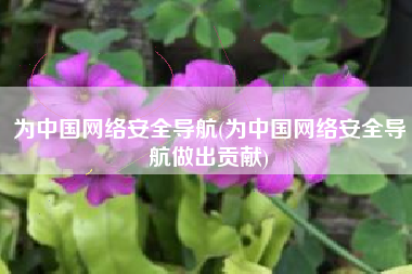 为中国网络安全导航(为中国网络安全导航做出贡献)