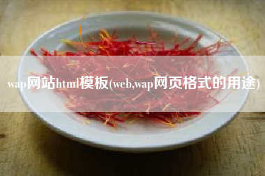 wap网站html模板(web,wap网页格式的用途)