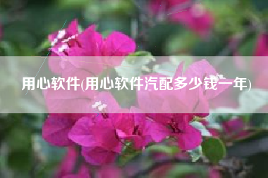 用心软件(用心软件汽配多少钱一年)