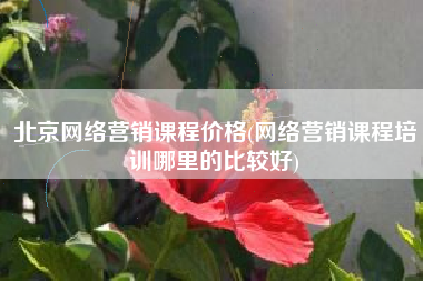 北京网络营销课程价格(网络营销课程培训哪里的比较好)