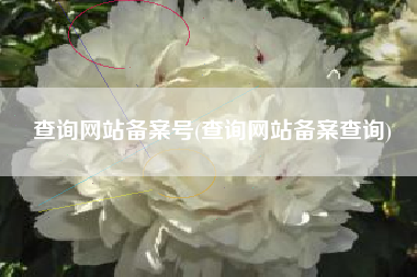 查询网站备案号(查询网站备案查询)