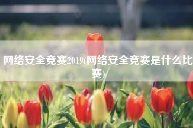 网络安全竞赛2019(网络安全竞赛是什么比赛)