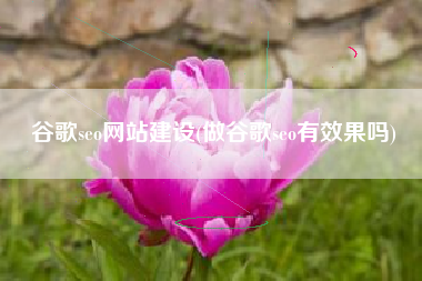谷歌seo网站建设(做谷歌seo有效果吗)