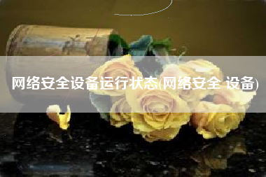 网络安全设备运行状态(网络安全 设备)