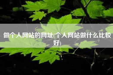 做个人网站的网址(个人网站做什么比较好)