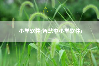 小学软件(智慧中小学软件)
