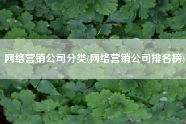 网络营销公司分类(网络营销公司排名榜)