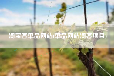 淘宝客单品网站(单品网站淘客项目)