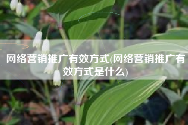 网络营销推广有效方式(网络营销推广有效方式是什么)